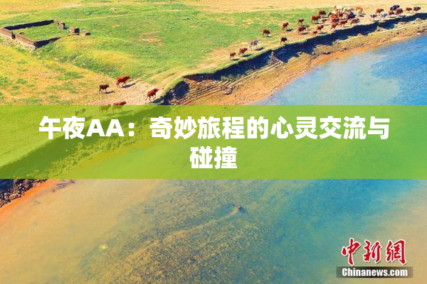 午夜AA：奇妙旅程的心灵交流与碰撞