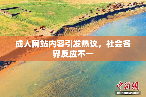 成人网站内容引发热议，社会各界反应不一