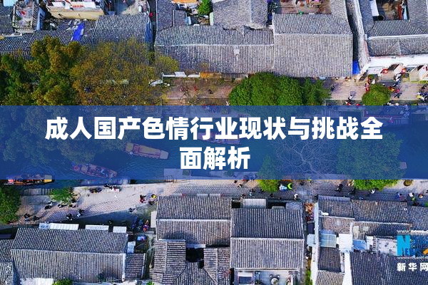 成人国产色情行业现状与挑战全面解析