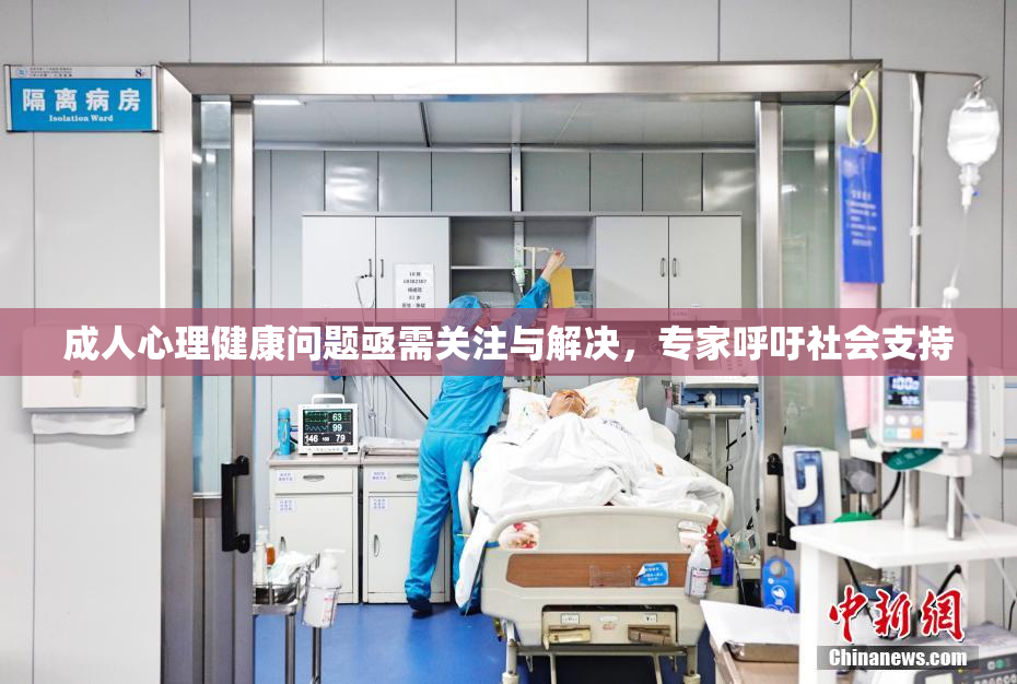 成人心理健康问题亟需关注与解决，专家呼吁社会支持