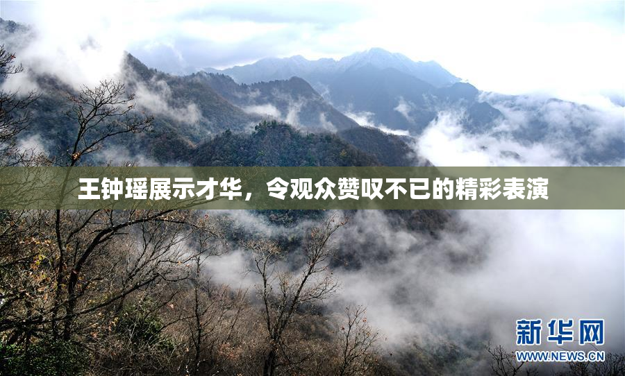 王钟瑶展示才华，令观众赞叹不已的精彩表演