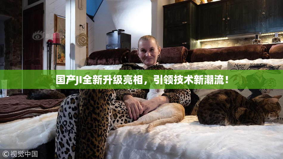 国产JI全新升级亮相，引领技术新潮流！