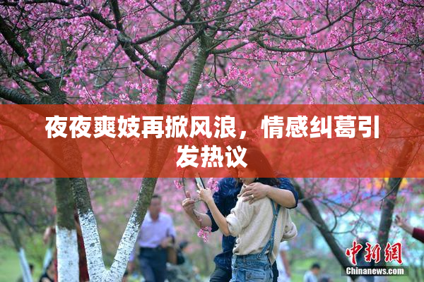夜夜爽妓再掀风浪，情感纠葛引发热议