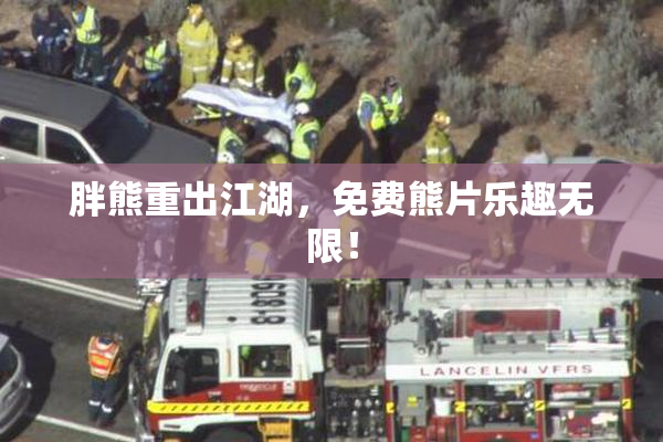 胖熊重出江湖，免费熊片乐趣无限！