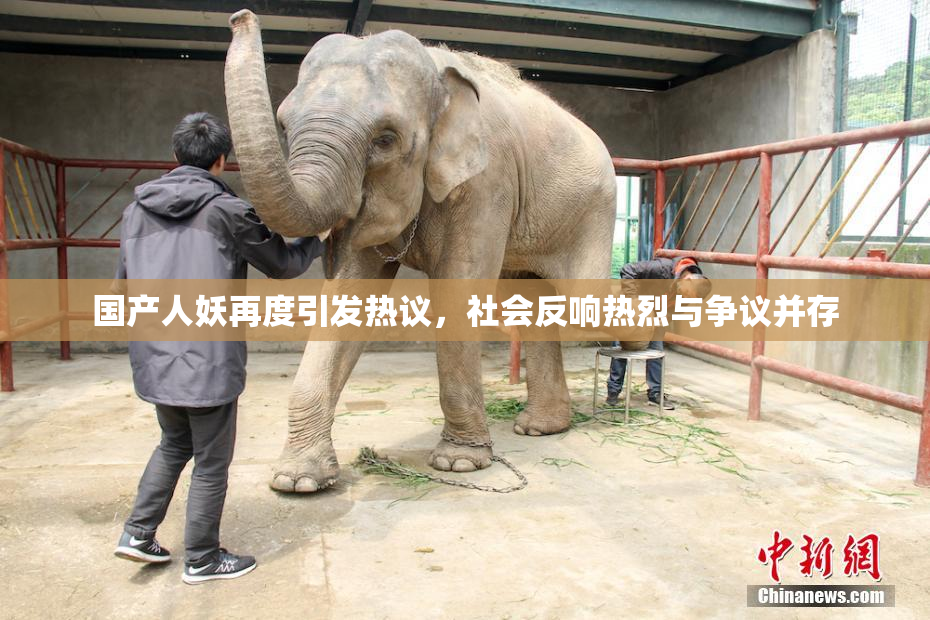 国产人妖再度引发热议，社会反响热烈与争议并存