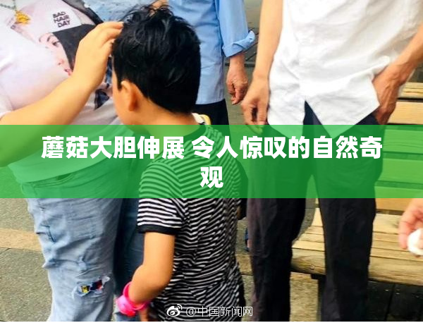 蘑菇大胆伸展 令人惊叹的自然奇观