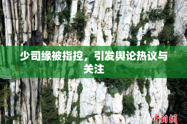 少司缘被指控，引发舆论热议与关注