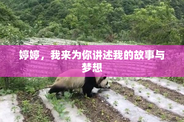 婷婷，我来为你讲述我的故事与梦想