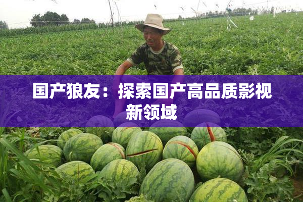 国产狼友：探索国产高品质影视新领域