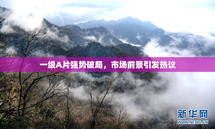 一级A片强势破局，市场前景引发热议