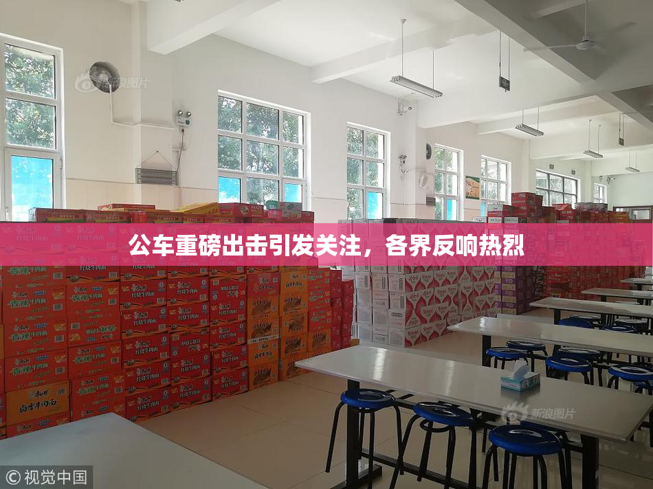 公车重磅出击引发关注，各界反响热烈