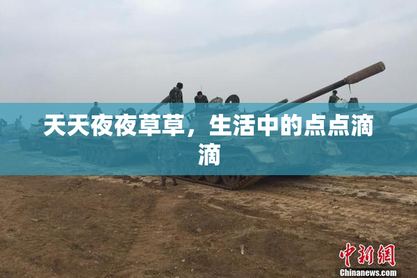 天天夜夜草草，生活中的点点滴滴
