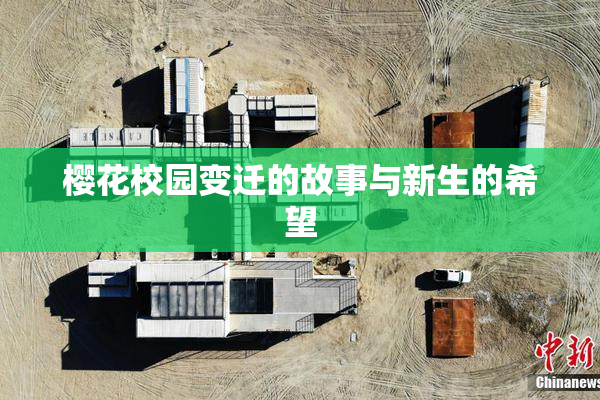 樱花校园变迁的故事与新生的希望