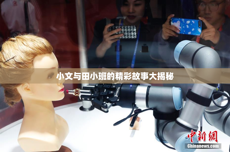 小文与田小班的精彩故事大揭秘