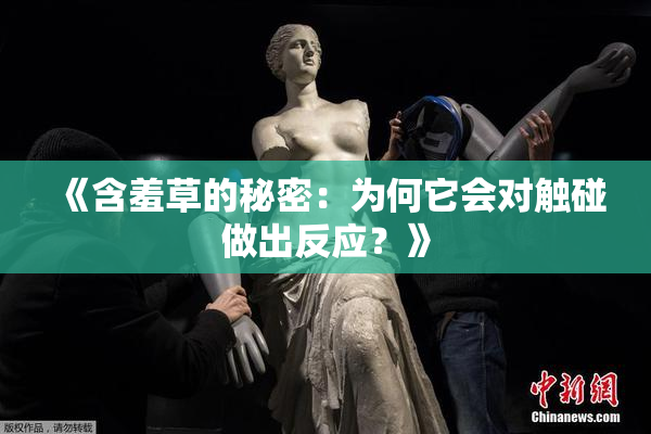 《含羞草的秘密：为何它会对触碰做出反应？》
