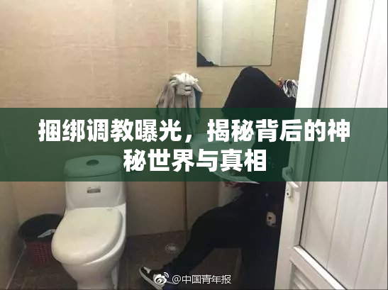 捆绑调教曝光，揭秘背后的神秘世界与真相