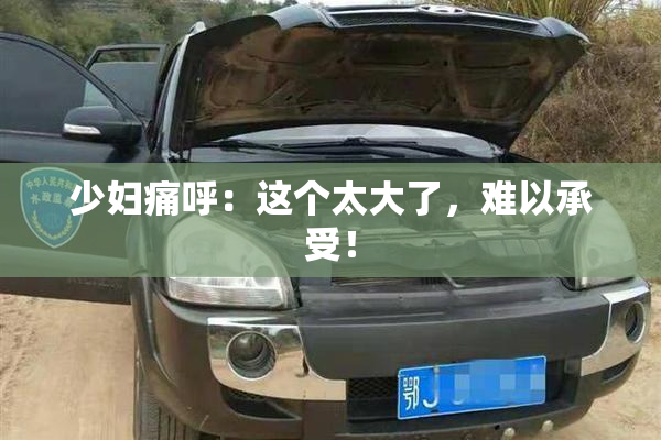 少妇痛呼：这个太大了，难以承受！