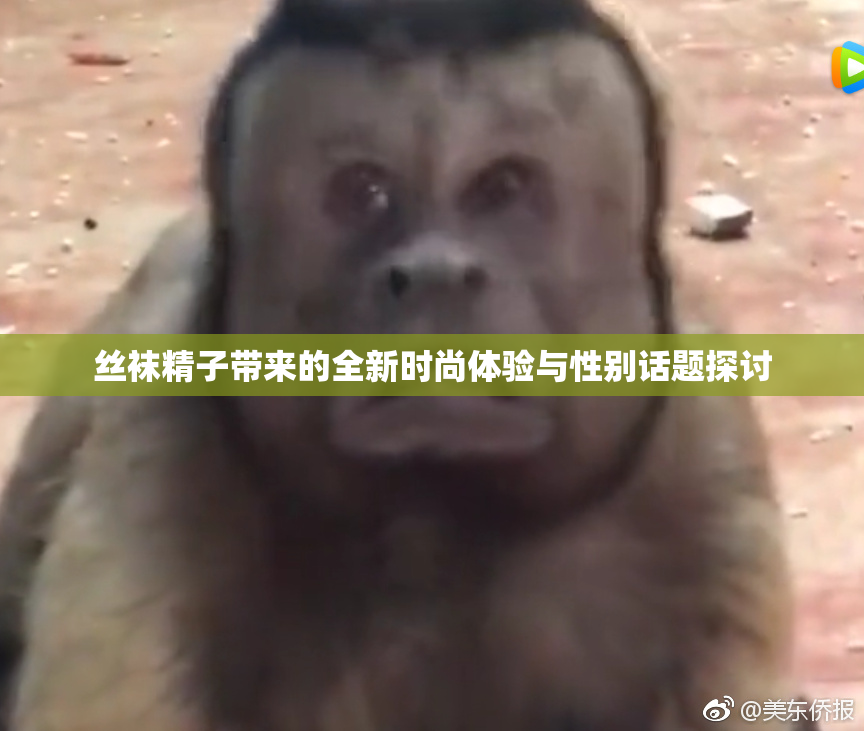 丝袜精子带来的全新时尚体验与性别话题探讨