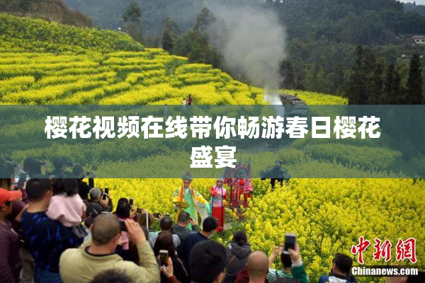 樱花视频在线带你畅游春日樱花盛宴
