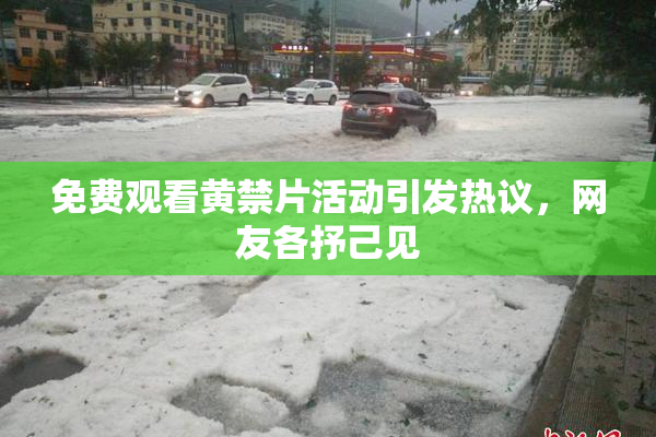 免费观看黄禁片活动引发热议，网友各抒己见