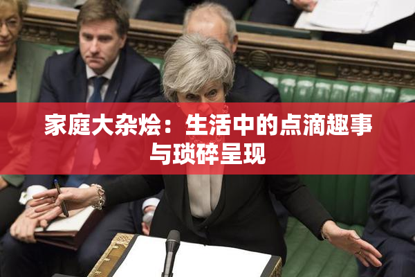 家庭大杂烩：生活中的点滴趣事与琐碎呈现