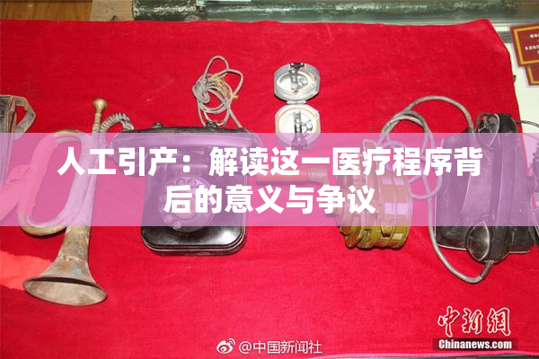 人工引产：解读这一医疗程序背后的意义与争议