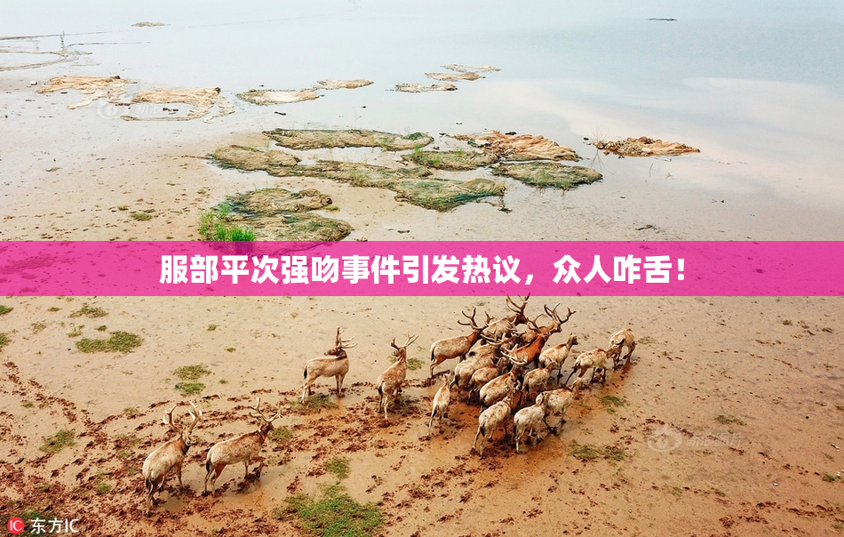 服部平次强吻事件引发热议，众人咋舌！