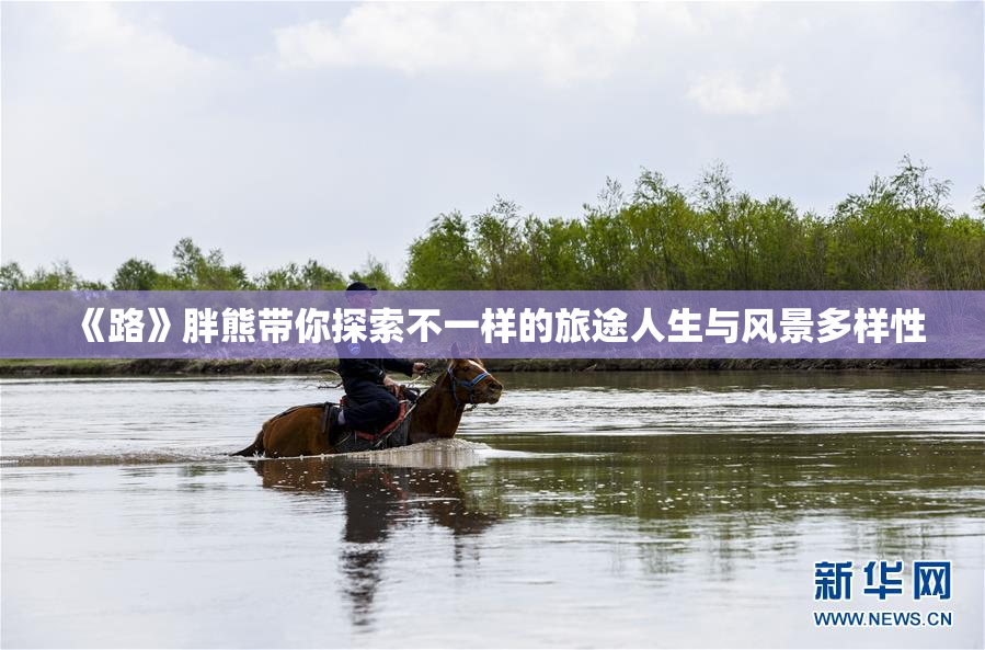 《路》胖熊带你探索不一样的旅途人生与风景多样性
