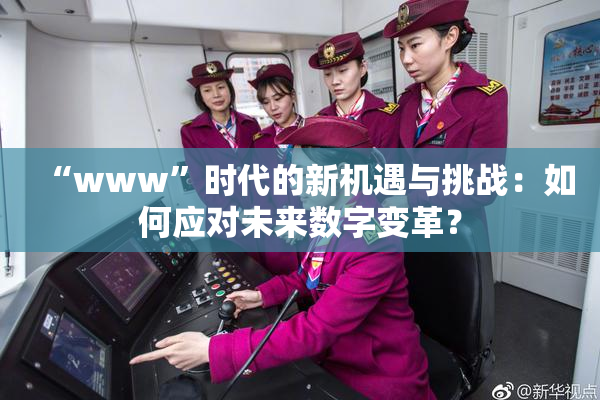 “www”时代的新机遇与挑战：如何应对未来数字变革？