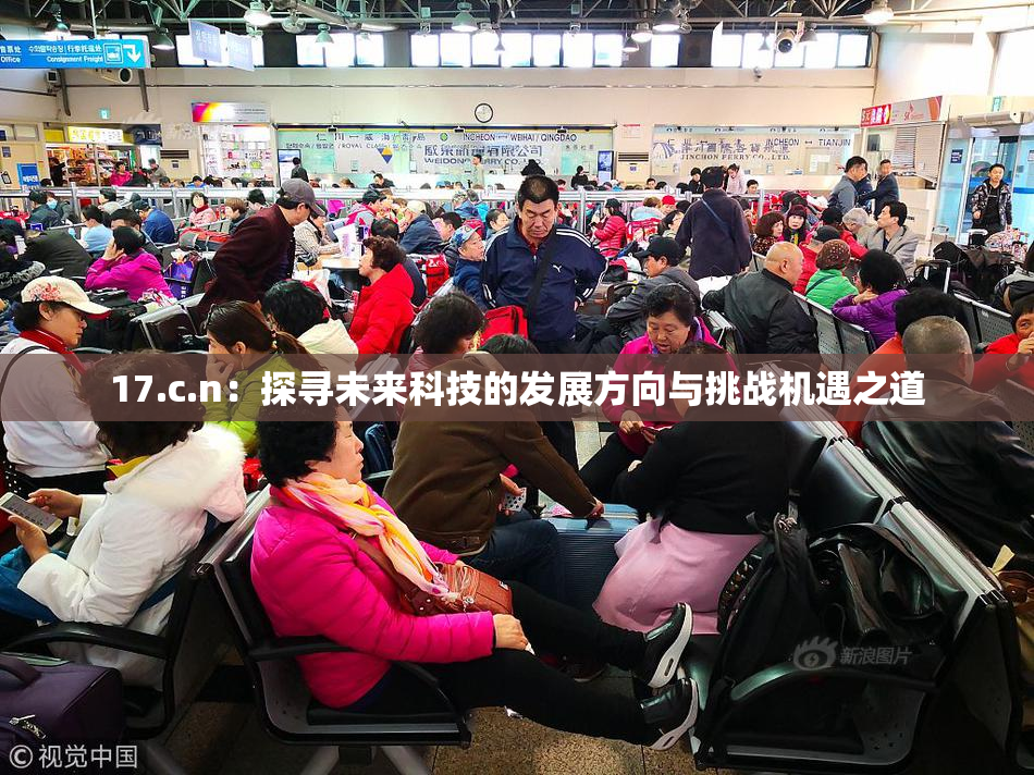 17.c.n：探寻未来科技的发展方向与挑战机遇之道