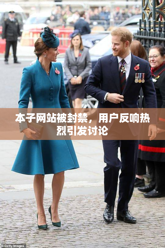 本子网站被封禁，用户反响热烈引发讨论