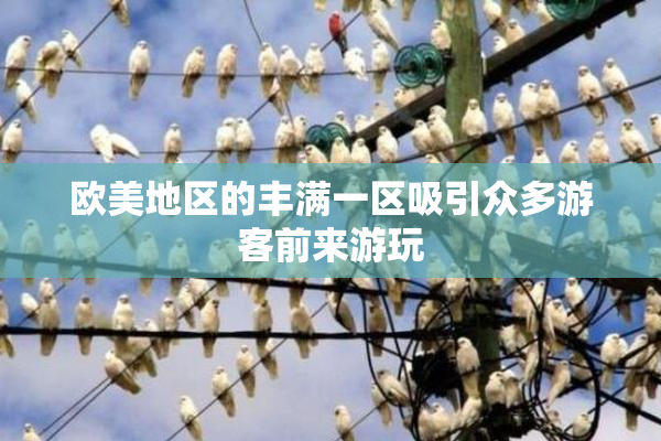 欧美地区的丰满一区吸引众多游客前来游玩