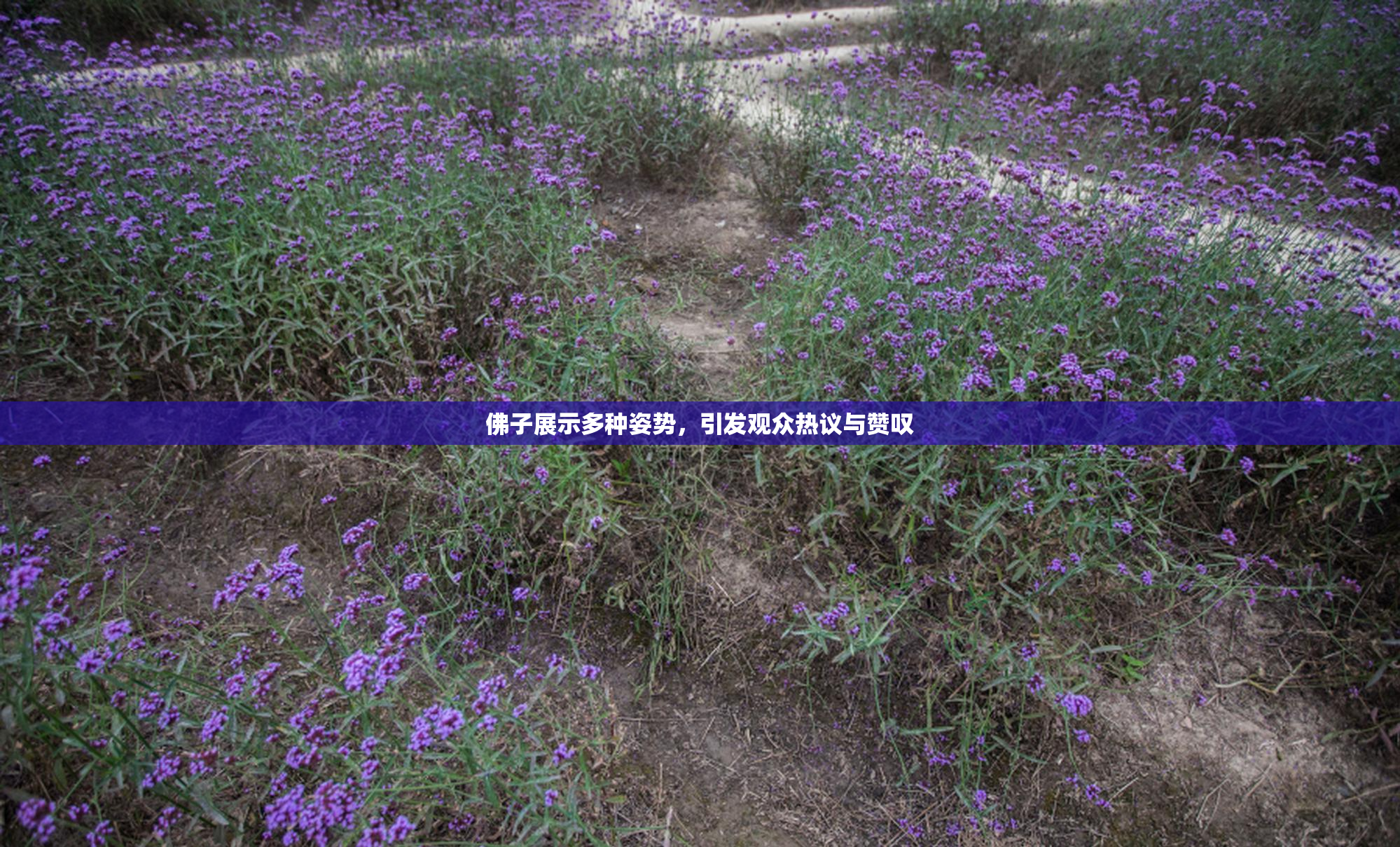 佛子展示多种姿势，引发观众热议与赞叹