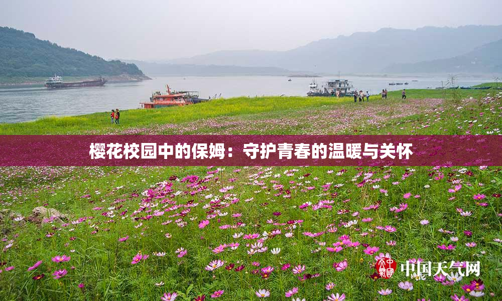 樱花校园中的保姆：守护青春的温暖与关怀