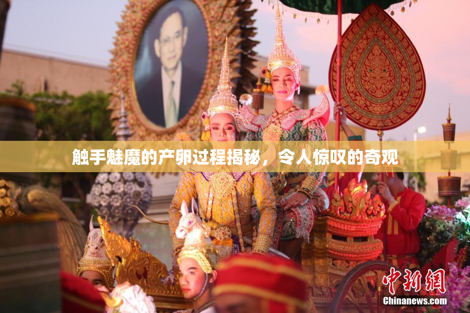触手魅魔的产卵过程揭秘，令人惊叹的奇观