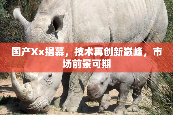 国产Xx揭幕，技术再创新巅峰，市场前景可期