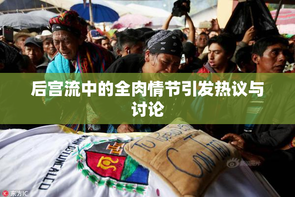 后宫流中的全肉情节引发热议与讨论
