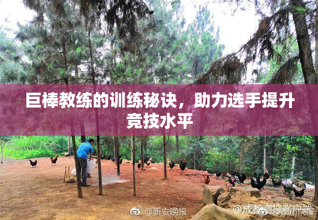 巨棒教练的训练秘诀，助力选手提升竞技水平