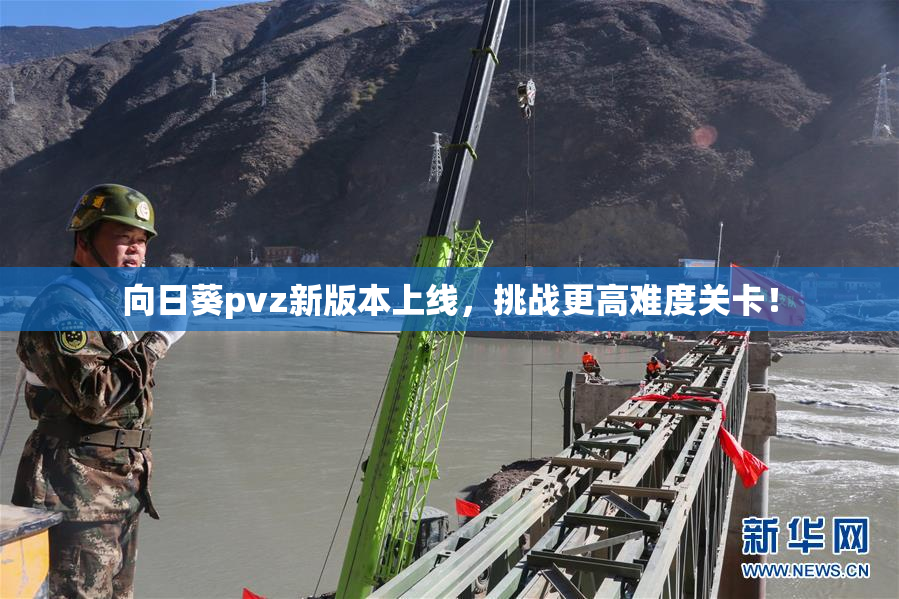 向日葵pvz新版本上线，挑战更高难度关卡！