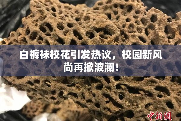 白裤袜校花引发热议，校园新风尚再掀波澜！