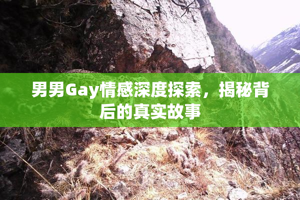 男男Gay情感深度探索，揭秘背后的真实故事