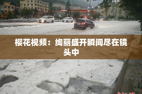 樱花视频：绚丽盛开瞬间尽在镜头中