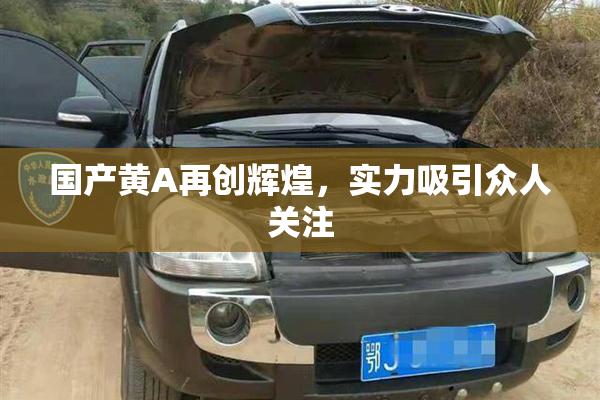 国产黄A再创辉煌，实力吸引众人关注