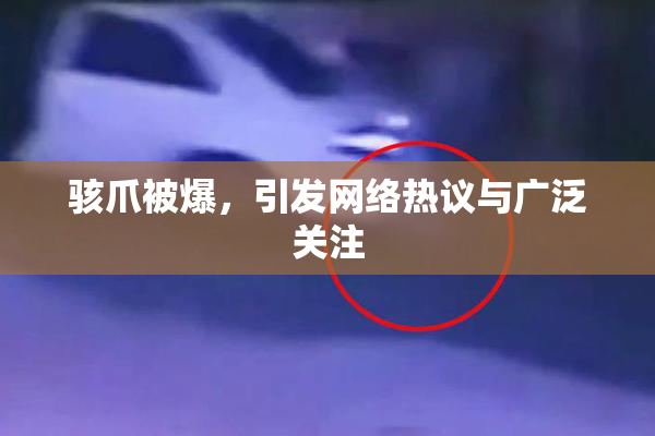 骇爪被爆，引发网络热议与广泛关注