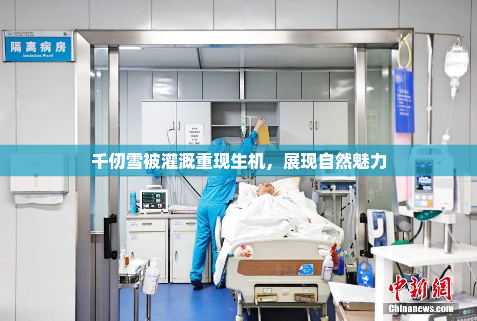 千仞雪被灌溉重现生机，展现自然魅力