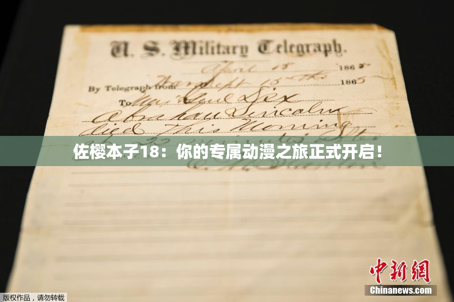 佐樱本子18：你的专属动漫之旅正式开启！