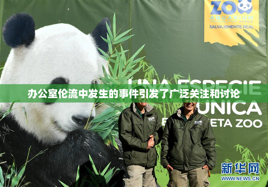 办公室伦流中发生的事件引发了广泛关注和讨论