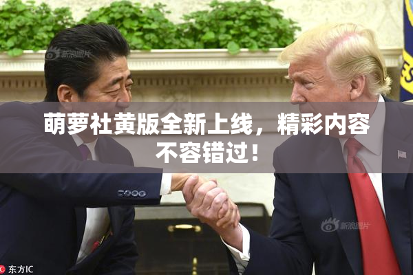 萌萝社黄版全新上线，精彩内容不容错过！