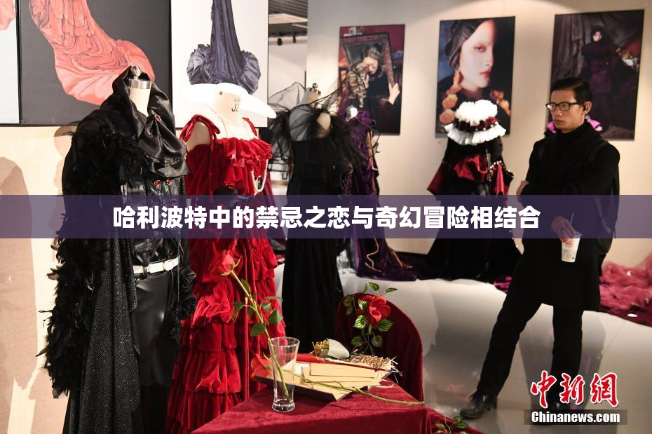 哈利波特中的禁忌之恋与奇幻冒险相结合