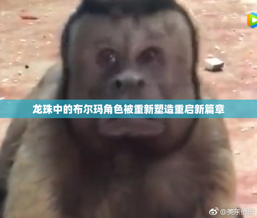 龙珠中的布尔玛角色被重新塑造重启新篇章